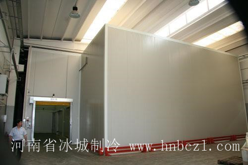 螺旋式速凍通道冷庫|河南冷庫工程|保鮮庫冷庫設(shè)計安裝