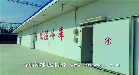 玉米保鮮冷庫(kù)